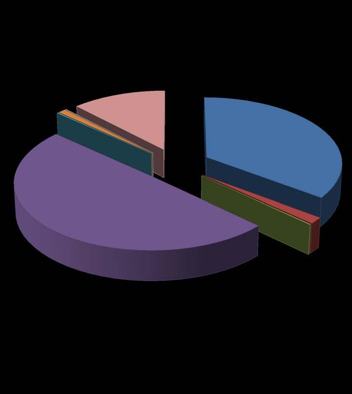 Personale 0% 1% 0% 12% 35% IRAP personale dipendente