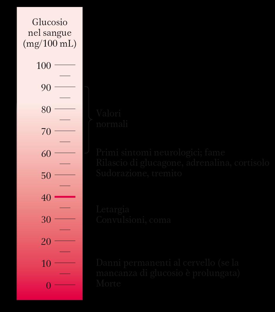v. r. della glicemia
