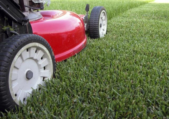 Lavori autunnali Prati In inverno, l'umidità, le basse temperature e la mancanza di sole sono una tortura per il prato.