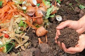 Lavori autunnali Il compost poi ormai sarà pronto quindi riponetelo nei vostri vasi o sul terreno ed iniziate così il vostro nuovo
