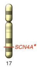 4 (Simkin et al., Front in Pharmac.