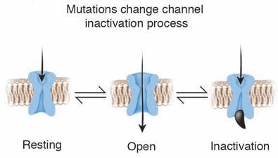 DIFETTI FUNZIONALI DEL CANALE AL SODIO MUTATO PROCESSO DI INATTIVAZIONE - lenta velocità di inattivazione - recupero