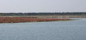 acque del bacino idrografico immediatamente sversante nella Laguna di Venezia - Piano