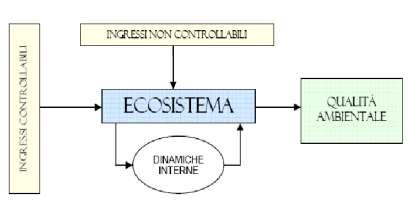 MODELLI MATEMATICI DEI SISTEMI AMBIENTALI Nella descrizione dello STATO DELL AMBIENTE il monitoraggio diretto ha evidenti LIMITI SPAZIO TEMPORALI MODELLI MATEMATICI: descrivono lo STATO e L