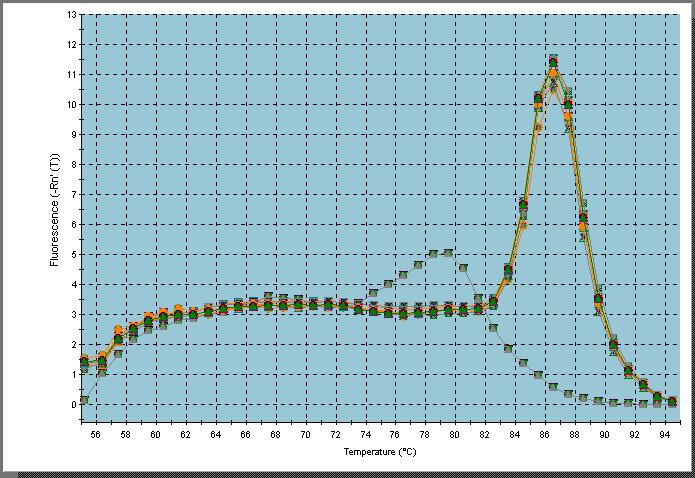 Curva di dissociazione Dopo l'amplificazione, i campioni vengono riscaldati e la
