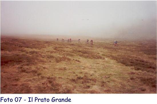 Poco dopo si imbocca un sentiero sulla destra in salita nel bosco e si sale con la bici al fianco per 100m ca ritornando in sella quando spiana con un bel mezzacosta nel folto del bosco dove si sbuca