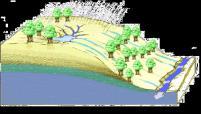 meteorologiche (kriging) Modulo gestione