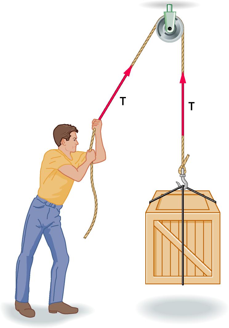 Funzione delle carrucole Per modificare la direzione della forza esercitata da una corda si usano le carrucole.