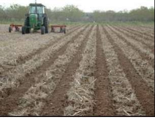 Strip Till alternativa alla semina su sodo Si esegue una lavorazione in banda cioè solo nella zona di semina. Le bande sono larghe circa 15 cm. E idonea a colture con interfila > 40 cm.