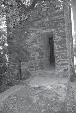 Buche pontaie Cinque buche pontaie sullo stesso fi lare di cui due tamponate (la terza e la quinta).