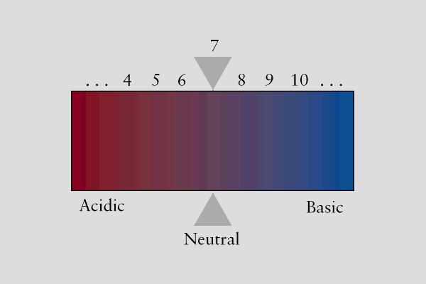 Il carattere acido, basico o neutro di una soluzione può essere indicato mediante il valore di [H O ].