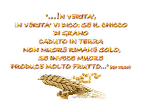 18 marzo 2018 V Domenica di Quaresima Colore liturgico: viola Iniziamo la celebrazione della quinta domenica di quaresima Domenica prossima sarà la Domenica delle Palme ed entreremo nella grande