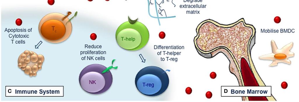 O Byrne 1 * 1 Cancer and Ageing Research Program, Translational Research Institute, Queensland University of Technology,