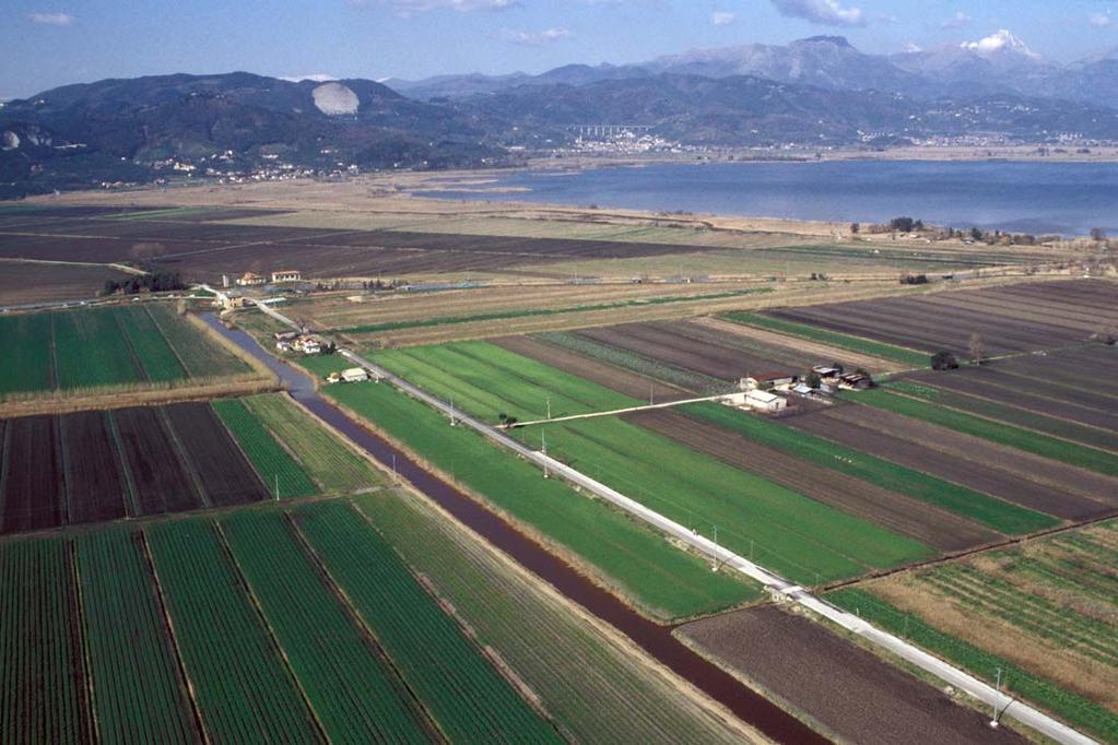 Agricoltura periurbana e qualità delle acque superficiali: il caso del comprensorio del lago di Massaciuccoli Enrico Bonari - Nicola Silvestri LandLab (SSSUP-PI) - DAGA (Univ.