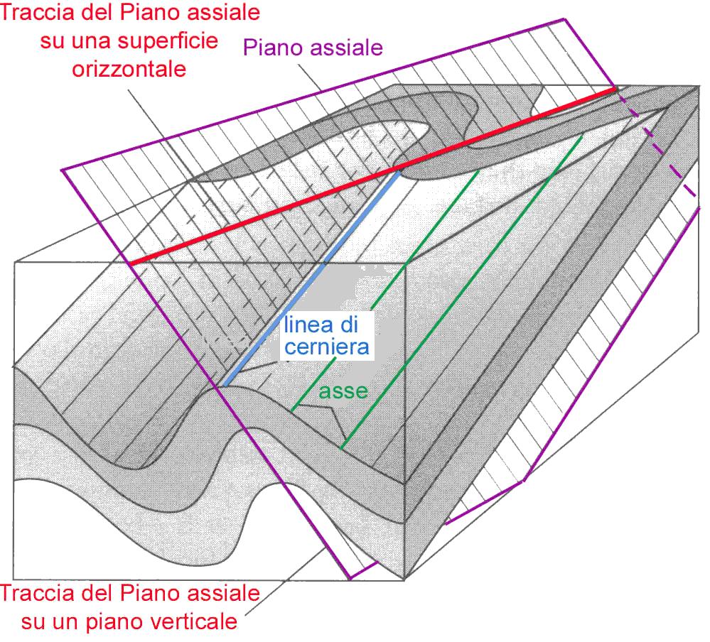 Quando la piega è cilindrica tale linea prende il nome di ASSE della piega. Considerando una piega che interessi più strati: La superficie che unisce le linee di cerniera è detta: SUPERFICIE ASSIALE.