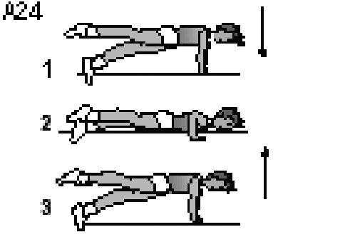 FAMIGLIA A A1 PIEGAMENTO 21 A21 0,10 1. Partenza prono 1 gamba sollevata, braccia piegate. 2. Sollevare il corpo teso per arrivare in appoggio su 1 ginocchio, 1 gamba libera tesa.