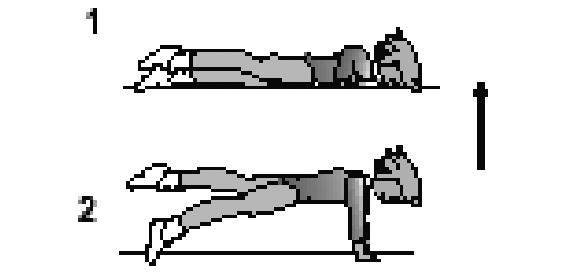 Piegamento su 3 appoggi (2 mani -1 ginocchio). 2. Bacino avanti al ginocchio, busto parallelo al suolo durante il piegamento. 3. Il ginocchio resta in contatto con il suolo durante il piegamento.