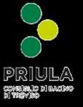puntuale attivati dal 2001 Consorzio Priula/Contarina (ut domestiche) Natura del prelievo Prestazione Patrimoniale-