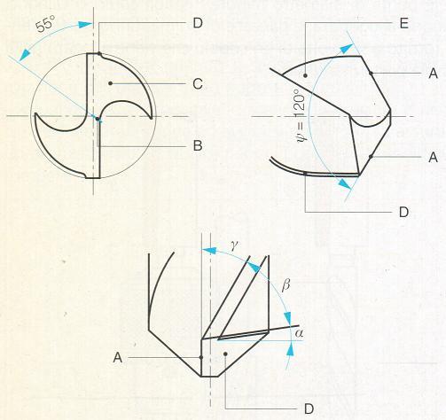 Forma geometrica dell estremità anteriore