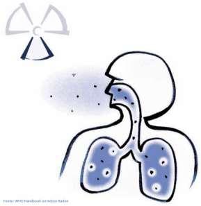 Meccanismi tumore polmonare La maggior parte del radon che viene inalato è espirata quasi totalmente prima che decada, mentre i prodotti di decadimento inalati, in gran parte attaccati al particolato