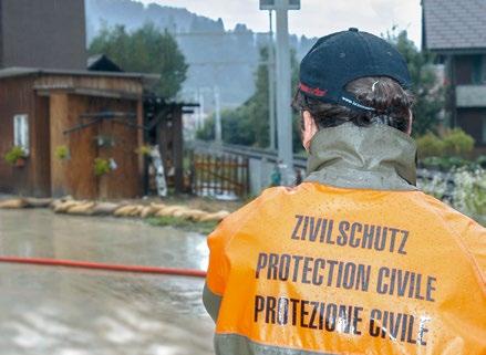 Il bosco svolge molte funzioni: la formazione del suolo, la produzione di legname, la cattura del carbonio, la regolazione del clima locale e la protezione dai pericoli naturali; offre inoltre un