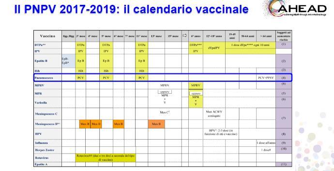 Raccomandazioni per la vaccinazione antipneumococcica in Italia