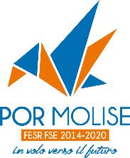 REGIONE MOLISE Servizio coordinamento programmazione comunitaria fondo FESR- FSE del I