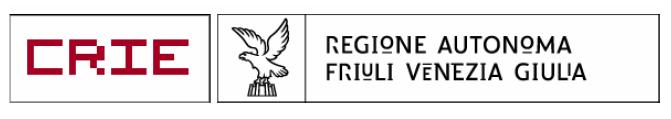 1. Definizione dei Ruoli Per l accesso ai servizi di cooperazione applicativa sono state definite le funzioni/ruoli degli utenti dei diversi enti; tali funzioni/ruoli, ed i relativi codici, vengono