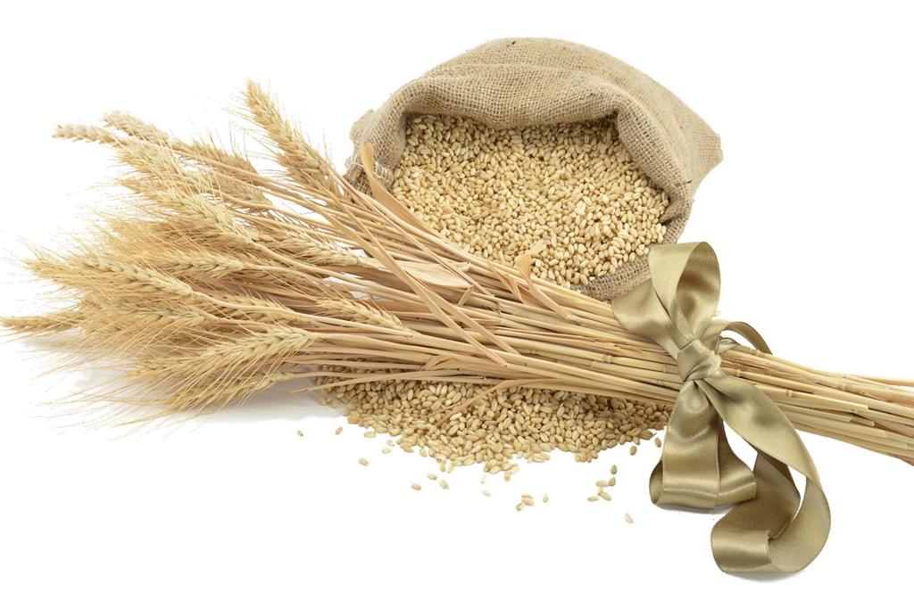 I progetti Aspetti nutraceutici Attenzione per le proprietà salutistiche e nutrizionali insite in prodotti che derivano da determinate colture cerealicole.