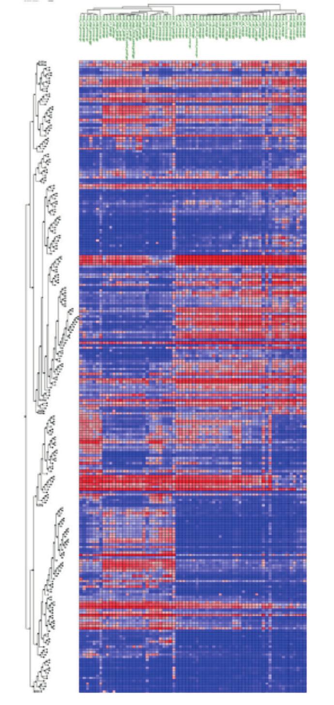 PIONEERS IN REPRODUCTIVE GENETICS Consenso scientifico Ricettivo Pre-ricettivo Raggruppamento gerarchico