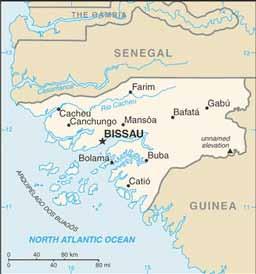 I progetti dello SCAIP SCAIP e PCO in Guinea Bissau Paese che vai missionario che trovi I Piamartini in contatto con noi U n organizzazione bresciana impegnata in progetti sanitari la Poliambulanza