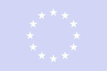 Il ruolo dell Unione europea Intervenire su problematicità comuni, trasversali: Elaborare regolamenti che tengano in considerazione aspetti critici comuni Non