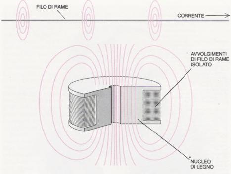 ELETTROMAGNETISMO Un conduttore immerso in un campo magnetico