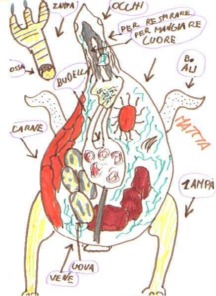 GLO: Il corpo della gallina