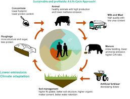 Alimentazione - Applicazione del modello Circolare Closed-loop