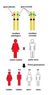 Seppur caratterizzata da una forte connotazione