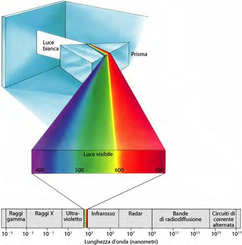 La radiazione luminosa La luce bianca è l insieme di più radiazione