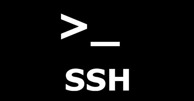 SSH Con il protocollo SSH (attivabile con un comando da terminale) possiamo accedere testualmente al contenuto di una macchina con cui condividiamo la