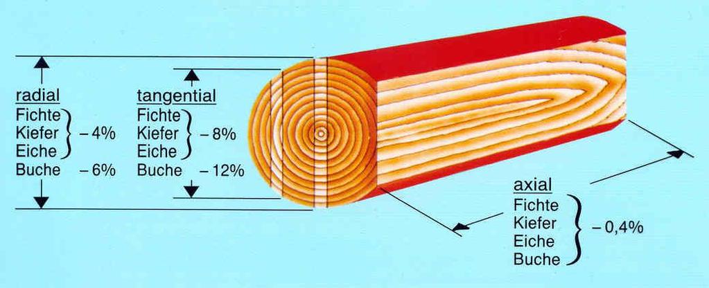 Protettivo legno Cosa è legno?