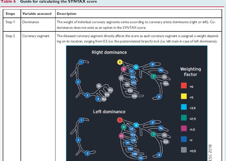 PCI vs CABG CAD anatomical complexity