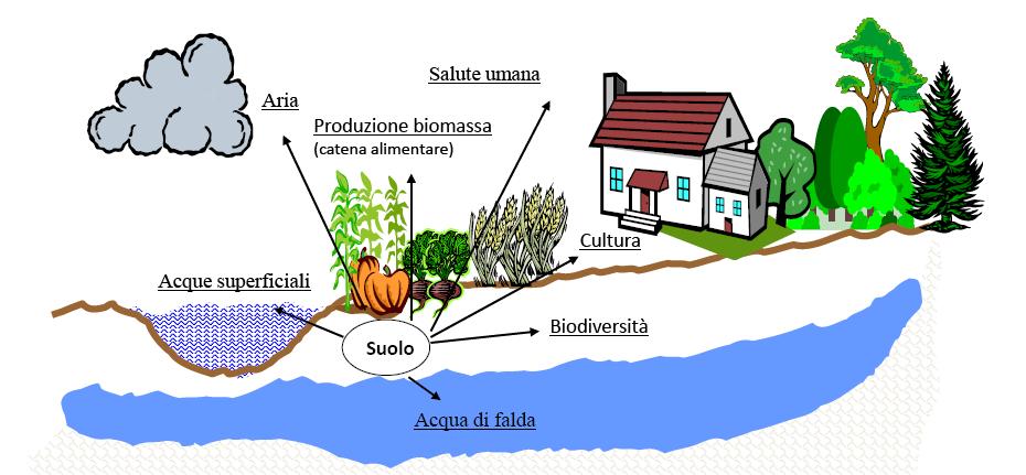 Le funzioni del suolo secondo la Strategia Tematica Europea produzione di biomassa (agricola, forestale.