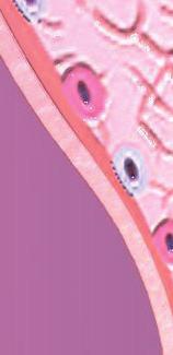 Il coito anale passivo aumenta il rischio di condilomi endoanali, in correlazione a microtraumi che favoriscono la diffusione del virus.