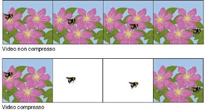 Tecnica Interframe La Tecnica Interframe, detta anche compressione temporale, elimina i dati che si ripetono in fotogrammi successivi In una scena di un ape che vola, se lo sfondo rimane immutato,