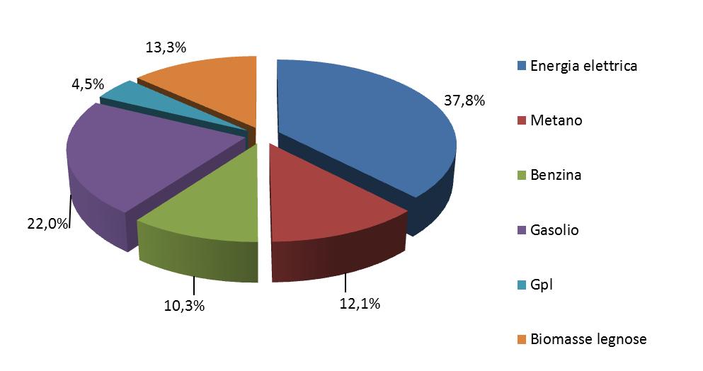 4.2.6. Sintesi dei consumi finali del territorio Nelle tabelle seguenti si riportano i consumi finali suddivisi per i diversi vettori energetici del territorio relativi al 2010.