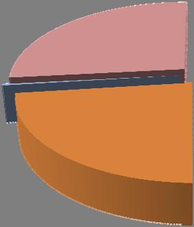 GRAFICO 10 COMUNE DI PASIANO CONSUMI ENERGETICI FINALI PER SETTORE % ANNO 2008 Elaborazione: APE Agenzia per l Energia del FVG 0,72% 0, 50% 0,03% Ammnistrazione Edifici 0,29% 26,68% 19,86%