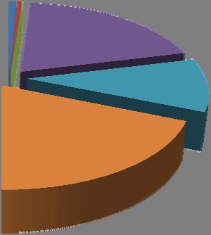 Pubblica Amministrazione Parco Auto 10,10% Settore residenziale 41,81% Settore terziario (esclusa Amministrazione) Settore industriale Agricoltura Il grafico evidenzia che gli usi domestici (sistema