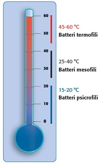 EFFETTO DELLA TEMPERATURA 7 Temperatura Le basse temperature hanno azione batteriostatica, cioè bloccano l attività microbica, ma raramente uccidono i microrganismi.