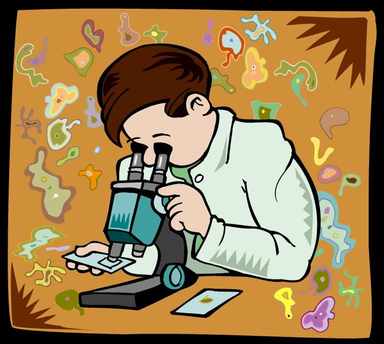 Microbiologia Micros: