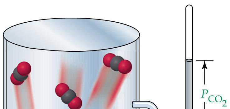 E.g. 2 segue: CaCO 3(s) CaO (s) + CO 2(g)