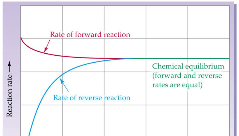 Reazioni all Equilibrio: Alcuni Punti Fermi PUNTO1: L equilibrio chimico è un fenomeno dinamico.